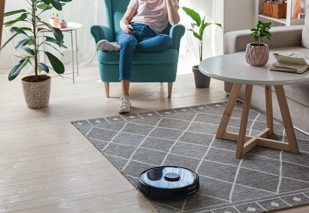 robot vacuum cleaner with docking station